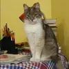 Отзыв от Клавдия Захарова